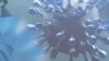 世衛促重啟病毒溯源 科學問題為何撲朔迷離？