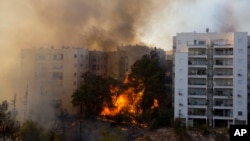 Les feux de végétation ravagent à Haïfa, Israël, 24 novembre 2016.