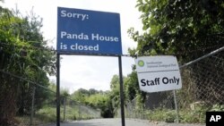 L'enclos et la maison des pandas géants, toujours fermés au zoo de Washington