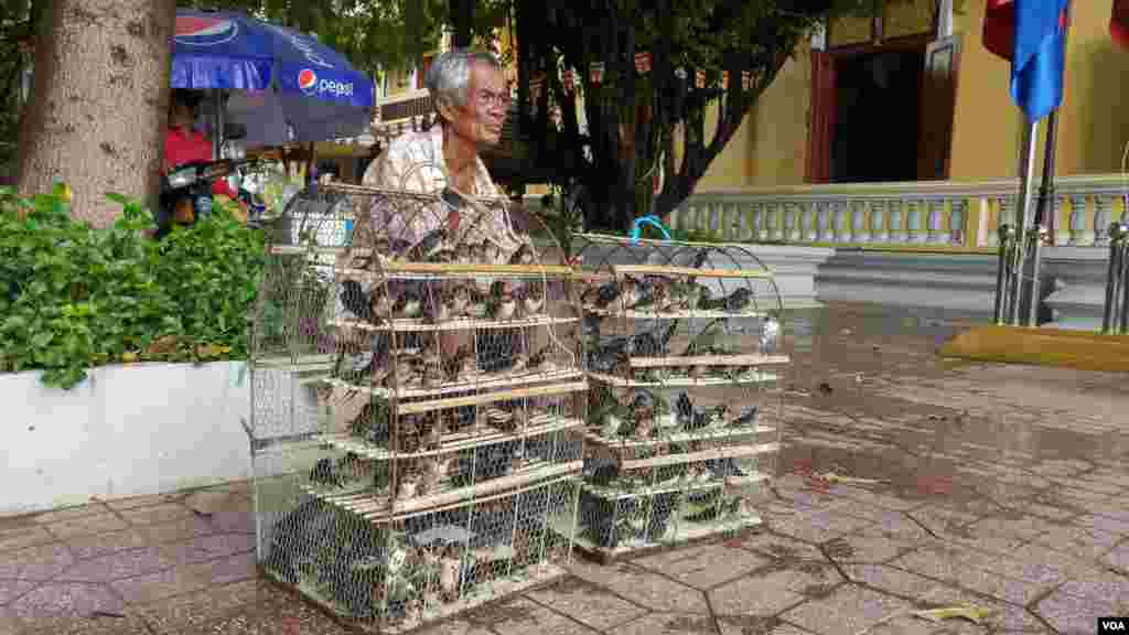 លោកតាម្នាក់អង្គុយលក់សត្វចាប នៅក្នុងវត្តបទុមវតីរាជវរារាម (ហៅវត្តបទុម) ក្នុងរាជធានីភ្នំពេញ នៅថ្ងៃកាន់បិណ្ឌទី៥ (ថ្ងៃទី២១ ខែកញ្ញា ឆ្នាំ២០១៦)។ (ប៊ុន ប៉េងហ៊ុយ/VOA)