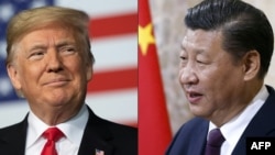 亞太經合組織（APEC）領導人非正式會議,美國總統特朗普（左）將不參加這次峰會，中國領導人習近平（右）將在這次峰會開幕式上發表主旨演講。（資料圖片）