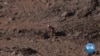 16x9 Image