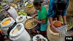 អង្គការ​ FAO, IFAD និង អង្គការ WFP បាន​ចេញ​របាយការណ៍​ថ្មីមួយ​អំពី​ស្ថានភាពសន្តិសុខស្បៀង។ របាយការណ៍​នោះ​បញ្ជាក់ថា​ មនុស្ស​៨០៥លាននាក់កំពុង​ជួប្រទះ​ភាព​អត់ខ្លាន​ឥតស្រាកស្រាន្ត។ (រូបថត៖ FAO/Walter Astrada)