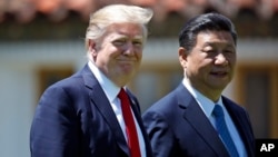 美中兩國領導人川普(左)與習近平(右)近日在佛羅里達州的2天會面中在海湖莊園散步。