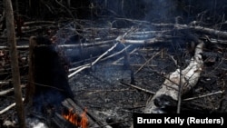 Floresta da Amazónia arde em Novo Airão, Estado da Amazónia, Brasil. 21 de Agosto, 2019