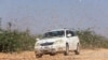 Les criquets envahisseurs sont de retour en Somalie
