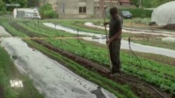 La nourriture bio fait un retour en Belgique