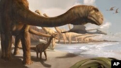 Concepção artística do Angolatitan Adamastor, o dinossauro angolano