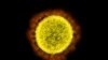 SARS-related Coronaviruses Infect around 66,000 People A Year in SE Asia - Study