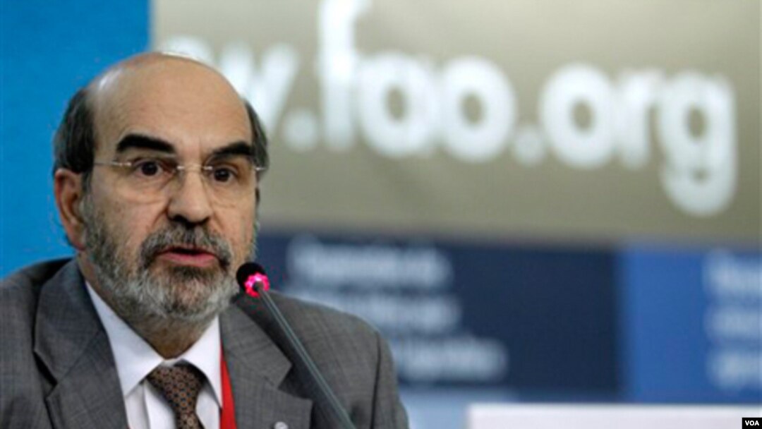 El brasileño José Graziano da Silva será el primer latinoamericano en ocupar la dirección general de la FAO.