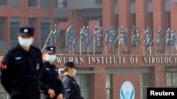 中國武漢病毒研究所 (2021年2月3日)