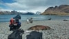 A scientist tests a dead seal on South Georgia Island in the South Atlantic Ocean for avian influenza, a disease which has already killed millions of birds and is now present in wildlife living near Antarctica, December 2023. Dr. Marco Falchieri, APHA/Handout)