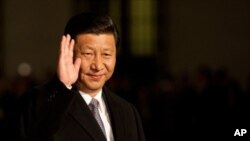 可能成為中國下一任國家主席的習近平(資料圖片)
