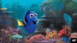 Photo du film "Finding Dory" de Disney Pixar sorti le 25 novembre 2015.