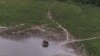 Avec 95 000 têtes, le Gabon est le dernier bastion des éléphants de forêt au monde