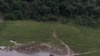 Vue d'une clairière dans la forêt tropicale de la réserve de la Lopé, au Gabon, le 4 juillet 2001. (AP Photo/Saurabh Das)