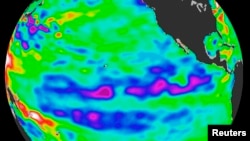 FILE - Oceanographic satellite released by NASA April 21, 2008, depicts a La Nina blanketing the Pacific Ocean near the equator. 