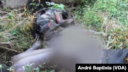 Cadáveres em decomposição em Sofala