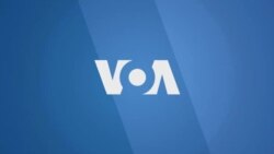 Carnet de santé : la prostate