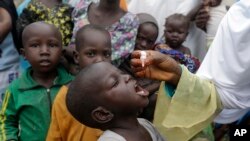 Un agent de la santé administre le vaccin contre la polio à des enfants dans un camp pour personnes déplacées par l'extrémisme islamiste à Maiduguri, au Nigeria, le 28 août 2016. (Photo AP)