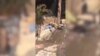 16x9 Image