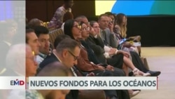 El Mundo al Día