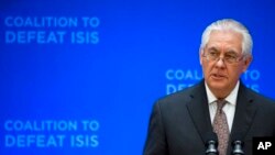 Fighting Islamic State