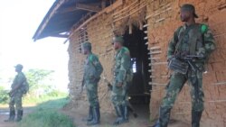 Seize miliciens tués par l'armée en Ituri