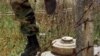 Huíla: De campo de morte a terra de vida