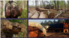 FILE - Photos from 2018 and 2019 shows resin trees were transported in trucks from Prey Preah Roka and Prey Lang en route to Sovann sawmill. (Screenshot from Global Initiative report)