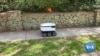 COVID-19 Could Be Robots' Time to Shine