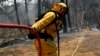 Miles de bomberos luchan para controlar y apagar los incendios que están asolando California estos días.