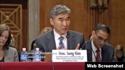 美國北韓政策特別代表金成