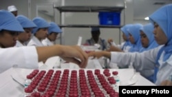 Lab workers in the Bandung BioFarma facility in Indonesia examine vials that have vaccine vial monitor technology incorporated into their labels, in Bandung, Indonesia, February 2017. (U. Kartoglu/PATH)
