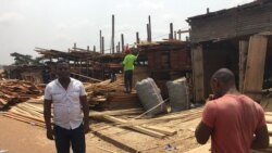 Le Cameroun veut rendre obligatoire l’utilisation du bois légal sur son marché