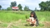 Climate Change Pushing Need for Better Agriculture Data