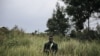 Onze morts dans des combats entre l'armée congolaise et une milice en Ituri
