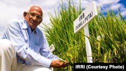 Indian Farmer Nekkanti Subba Rao.