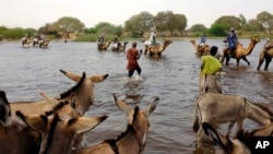Des éleveurs traversant un affluent du lac Tchad près de N'Gouboua, au Tchad, le 5 Mars 2015. (AP Photo/Jerome Delay)