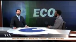 Dans la rubrique Économie, un pigeon voyageur vendu à plus d'un million d'euro