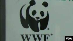 Le WWF assure "prendre très au sérieux toute allégation de violations des droits de l'homme". 