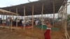 Rohingya men pray under a temporary shelter in the Kutupalong refugee camp in southern Bangladesh, Oct. 2, 2017. 