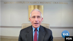 លោក Anthony Fauci នាយក​នៃ​វិទ្យាស្ថាន​ជាតិ​ខាង​ អាលែកហ្ស៊ី​និង​ជំងឺ​ឆ្លង ផ្តល់បទសម្ភាសន៍ជាមួយនឹង VOA ភាសារុស្ស៊ី កាលពីថ្ងៃទី១១ ខែមិថុនា ឆ្នាំ២០២០។