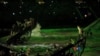 16x9 Image