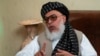 ستانکزي ویلي، "دا هیواد به خوېندې او وروڼه جوړوي په دې کې به نارينه يواځې کار نه کوي، نيم قشر د افغانستان ښځې دي، ښځې د پامه نشي غورځول کېدی بايد ښځې د افغانستان په بيا ودانولو کې، په سياست کې، د افغانستان په هره برخه کې په اقتصاد کې رغنده فعاله ونډه ولري"