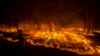 Des milliers de pompiers déployés en Californie