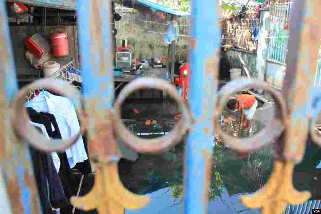 ក្មេងស្រីម្នាក់លេងទឹកដែលលិចនៅមុខផ្ទះរបស់លោក ឃឹន សុវាត ដែលស្ថិតនៅក្នុងតំបន់បឹងកក់ ក្នុងទីក្រុងភ្នំពេញនៃប្រទេសកម្ពុជា នៅថ្ងៃទី១៣ ខែវិច្ឆិកា ឆ្នាំ២០១៤។ (នូវ ពៅលក្ខិណា)