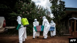 Les agents de santé transportent un corps à Mangina, près de Beni, dans la province du Nord-Kivu, le 22 août 2018