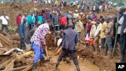 Waokoaji na wananchi wakiendelea kufukua miili iliyokwama kufuatia maporomoko ya ardhi mashariki mwa Uganda. Nov. 28. 2024.