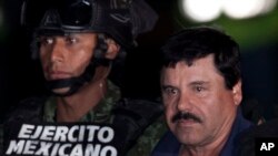 Joaquin "El Chapo" Guzman après sa capture, le 8 janvier 2016 à Mexico. (AP Photo/Marco Ugarte)
